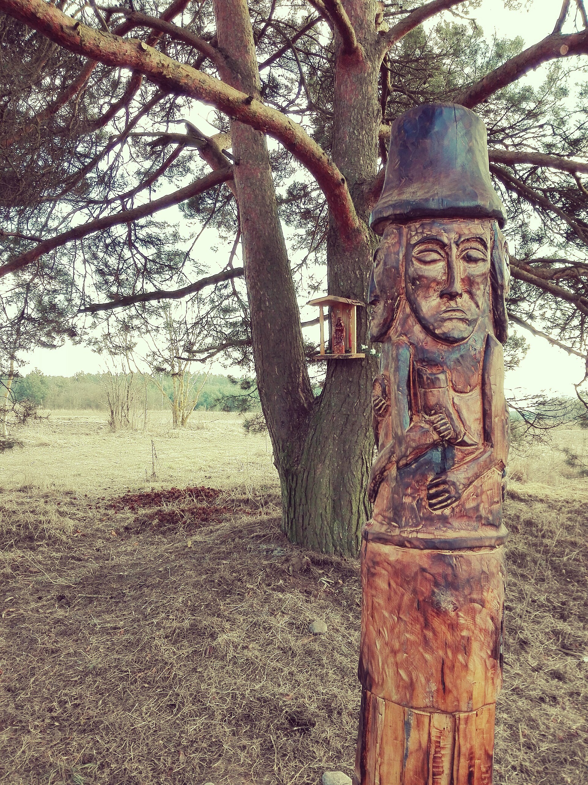 „Babia Góra” w Gajownikach