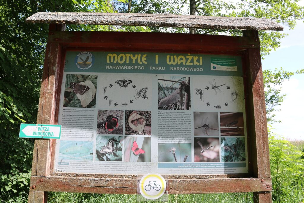 Dolina Narwi - Narwianski Park Narodowy