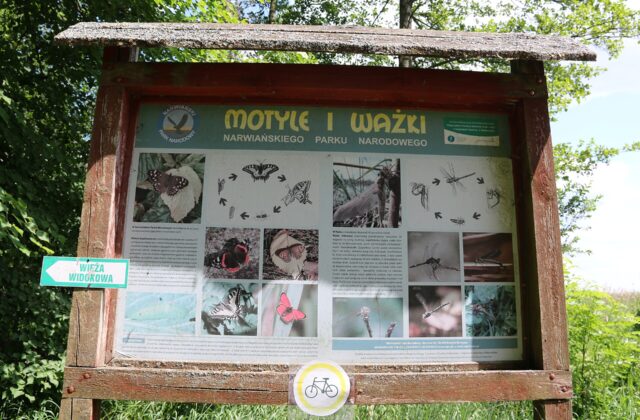 Dolina Narwi - Narwianski Park Narodowy