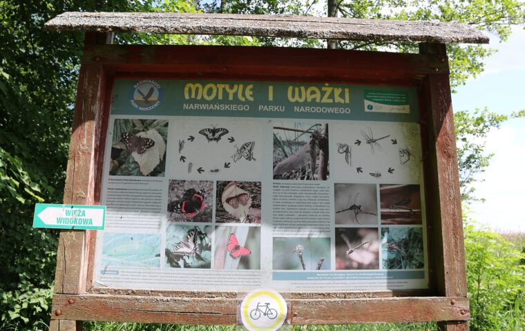Dolina Narwi - Narwianski Park Narodowy