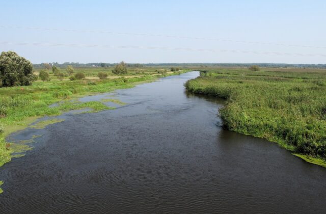 Lapy - Narew