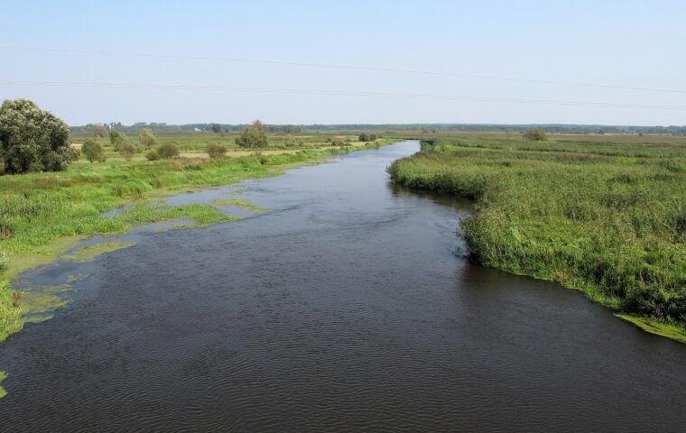Lapy - Narew