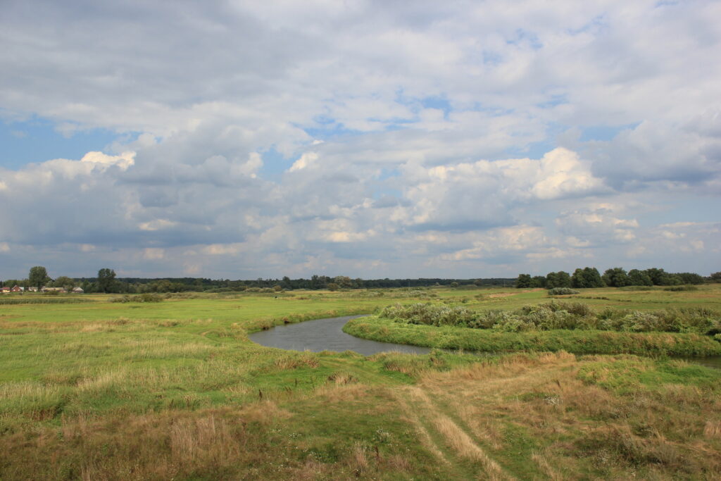 Narew - rozlewiska
