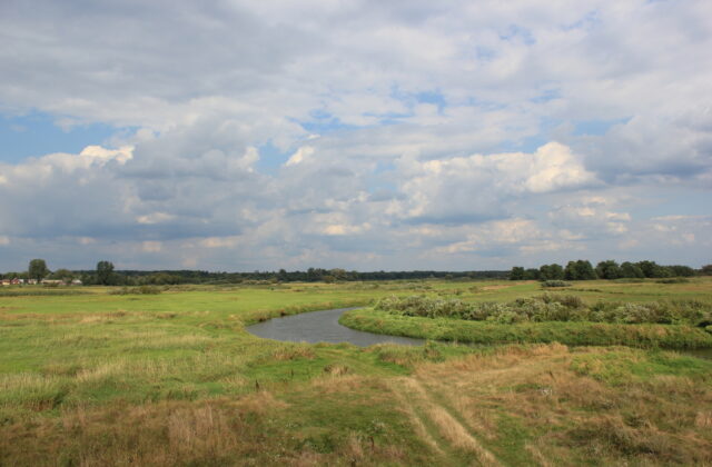 Narew w okolicach wsi Góra