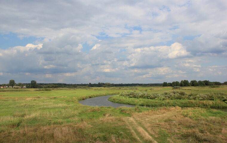 Narew w okolicach wsi Góra