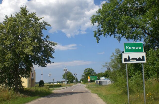Ścieżka przyrodnicza „Kładka wśród bagien” w Kurowie