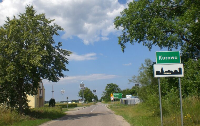 Ścieżka przyrodnicza „Kładka wśród bagien” w Kurowie