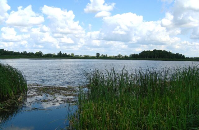 Miejsce dawnego dworu królewskiego w Knyszynie